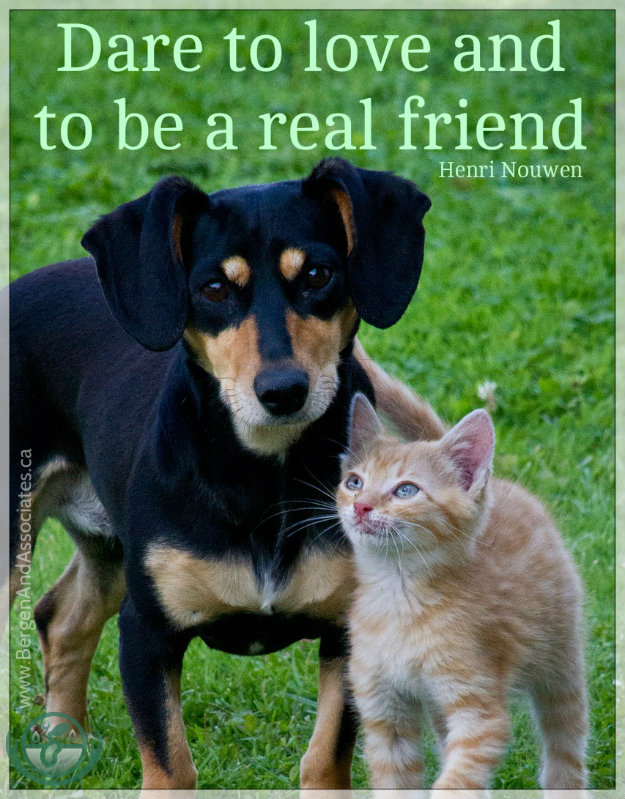 Dare to love and to be a real friend.  Quote by Henri Nouwen, poster by Bergen and Associates Counselling in Winnipeg